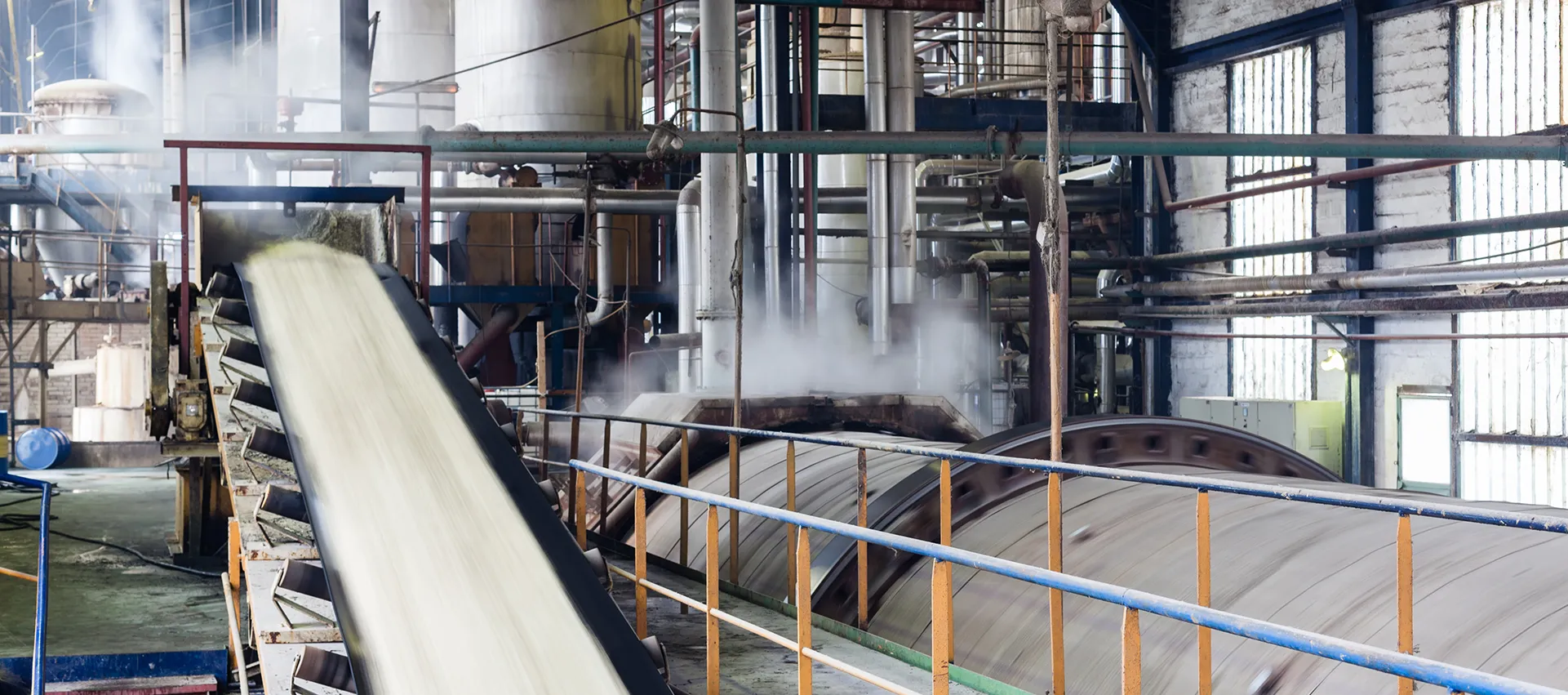 Sugar Plant
